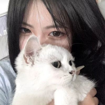 风云体育官方APP网址