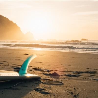 BOB·体育综合APP下载截图