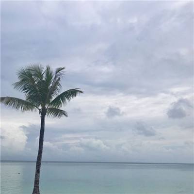 极速飞艇平台 63o 6967