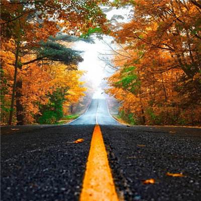 开云·kaiyun体育手机app下载